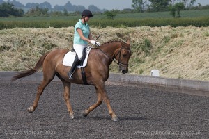 ISIS Dressage Challenge 2008